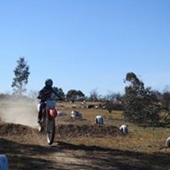 Scott Dalton