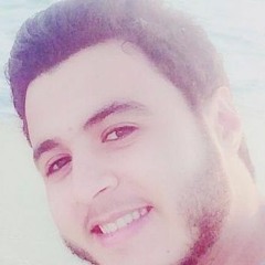 Mahmoud M. Badawy