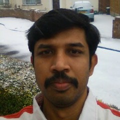 sankara Narayanan