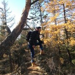 mongolia songs