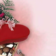 علاء الضوى الضوى