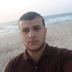 محمد الشاعر