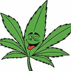 🎋