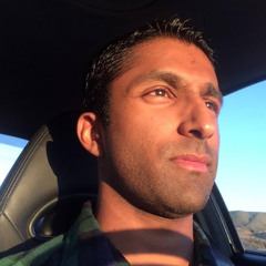 rue the english bulldog