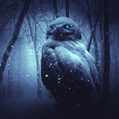 Wisdowl