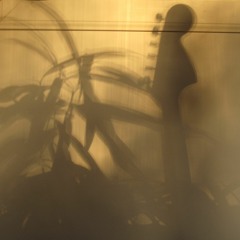 Flight Of The Surf Guitar