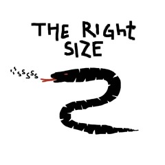 The Right Size