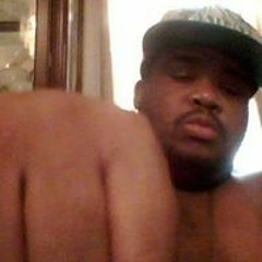 Kd Dice Bush