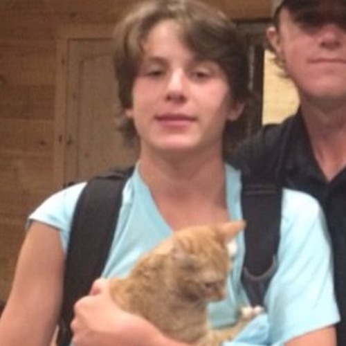 Loona Ft. Avicii - Vamos A Los Levels (The Friendly Giant Mashup)