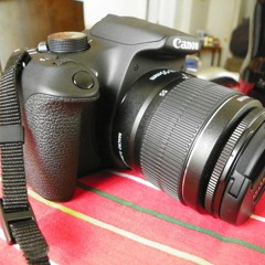 Nelson Enrique Gómez