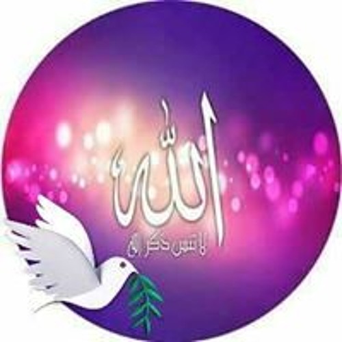Amr Shahin’s avatar