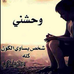 محمد ابوالفتوح