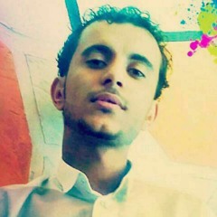 AhmedO Web