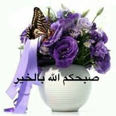 أيمن ممدوح