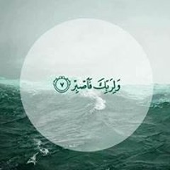 Passant B Mohammed