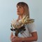 Phoebe Imhoff