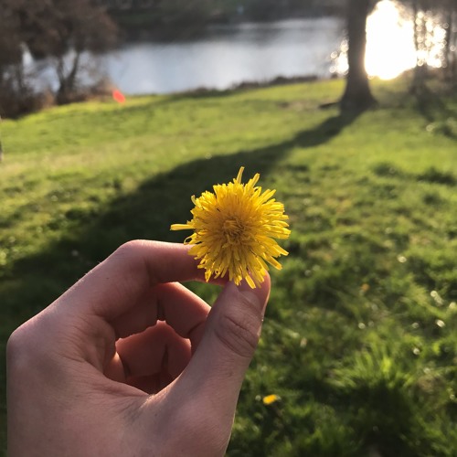 Joseph Tsou - Cold Fire Ft. Andrew Hom & Travis Roth