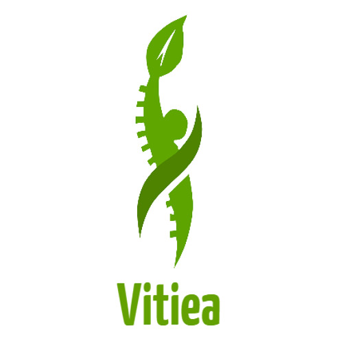 Vitiea Group’s avatar