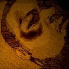 ParagonMuzic