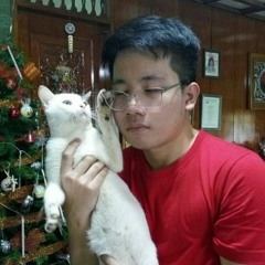 Nicko Bartolome