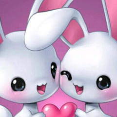 daoudfazil msp