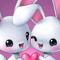 daoudfazil msp