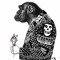 One Dirty Ape