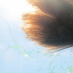 Amanda Alfaro Córdoba