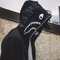 Ripper Music