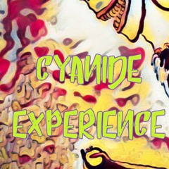 cyanide experience