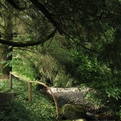 West Creek Orchestra