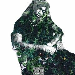 Felipe Noell: JungleBookTheMixtape