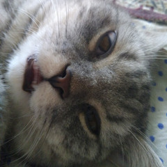 Виталий Тимаков