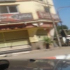 منذر غالى