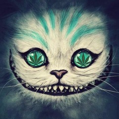 Trippy Kitty