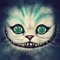 Trippy Kitty
