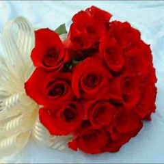 عبد الرحمن احمد