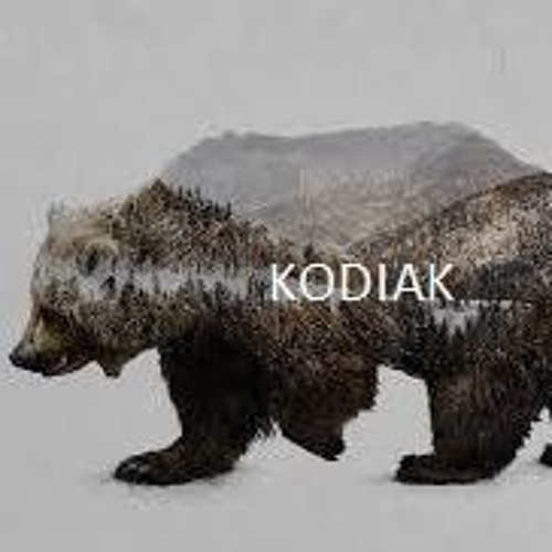 Kodiak’s avatar