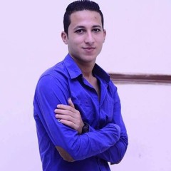 Mahmoud Gaber ELashmawy
