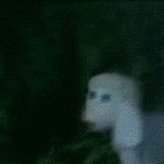 kiddiecoffin