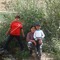 yesenia