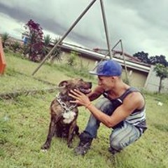 Eduardo Murillo Solis