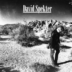 David Spekter