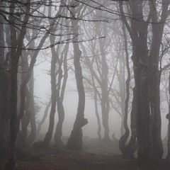 poloniumcubes by Gleb Kolyadin vol. I