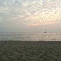 Jose Octavio Dieguez