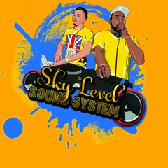 SKY LEVEL SOUND SYSTEM