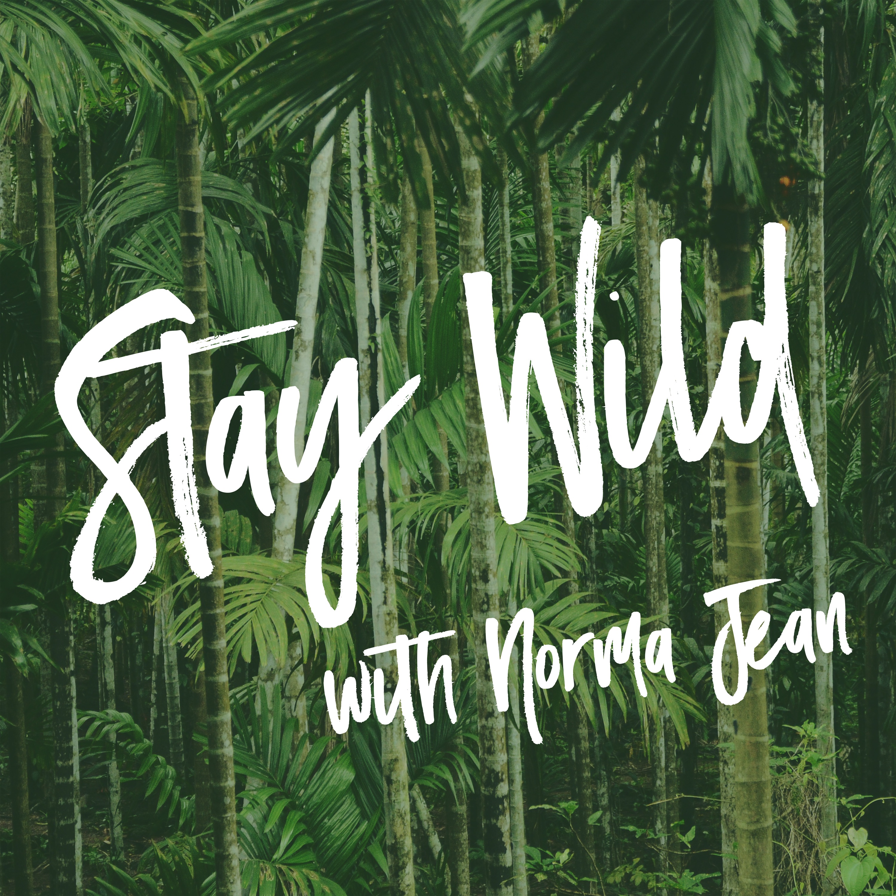Stay Wild Ep. #35: Emily McDowell