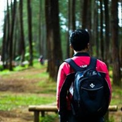 Arief Triyono
