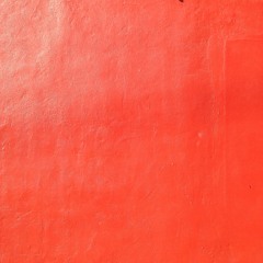 Paviani One