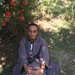 اسماعيل فياض